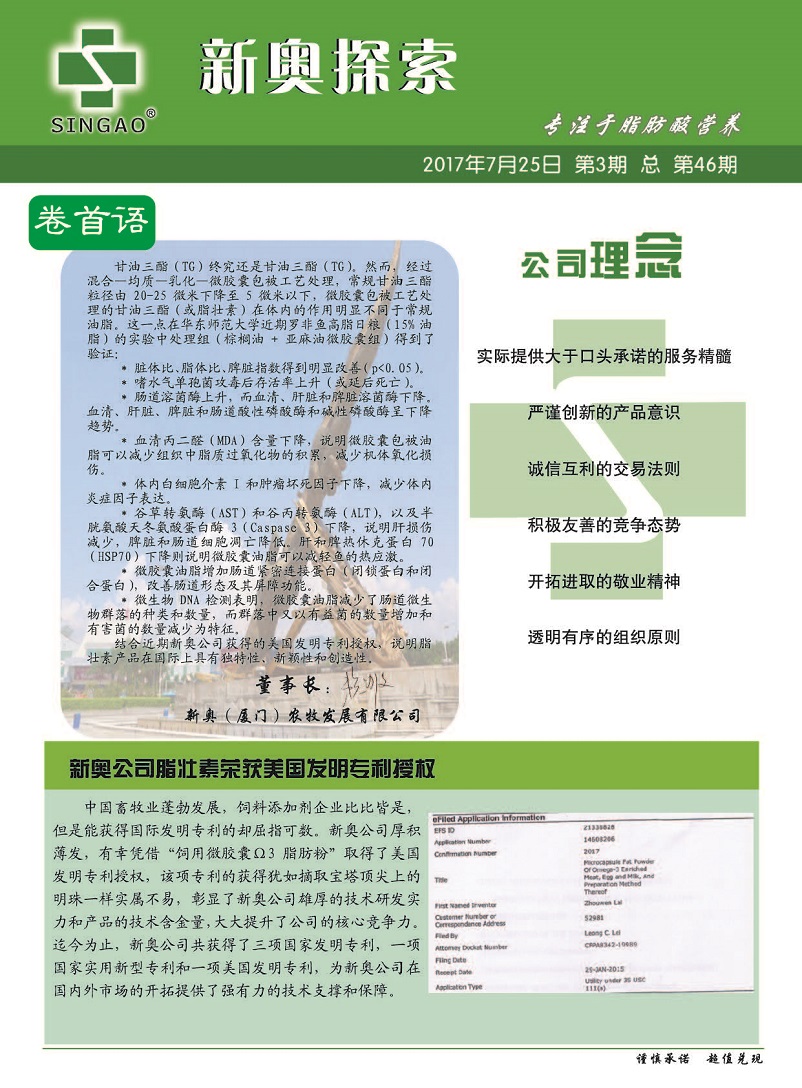 2004新奥精准资料免费提供_作答解释落实_网页版v446.418